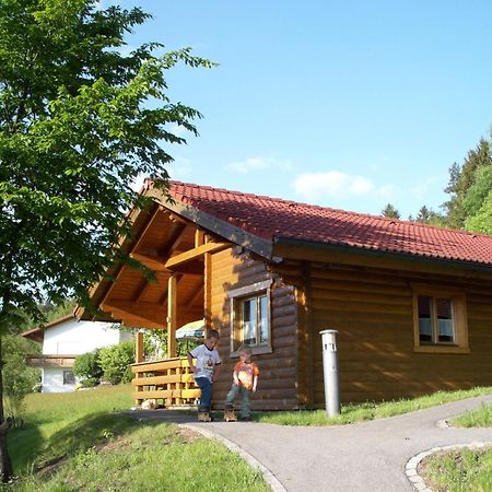 Villa Blockhaus Hedwig à Stamsried Extérieur photo