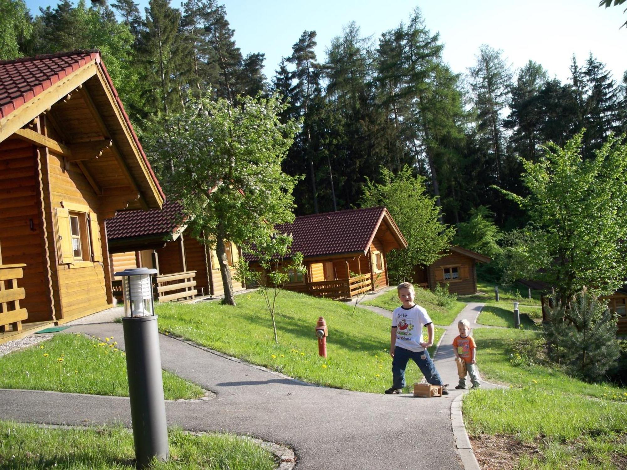 Villa Blockhaus Hedwig à Stamsried Extérieur photo
