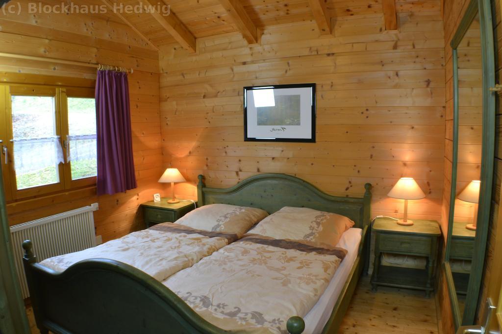 Villa Blockhaus Hedwig à Stamsried Extérieur photo
